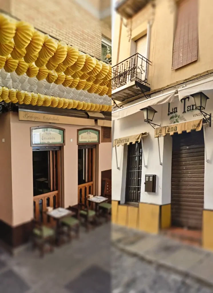 Gastronomía local en Granada: tapeo desde tu apartamento en el corazón de la ciudad