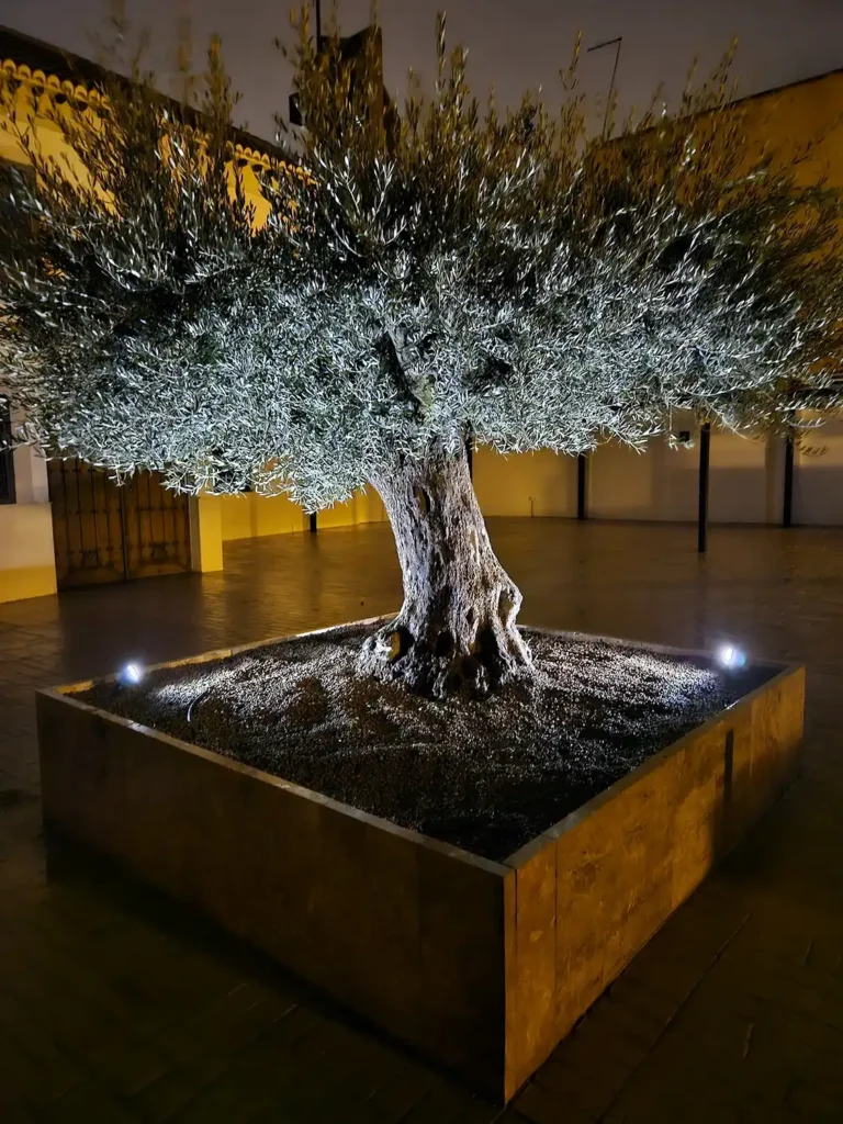 caseria-san-francisco-exterior-11